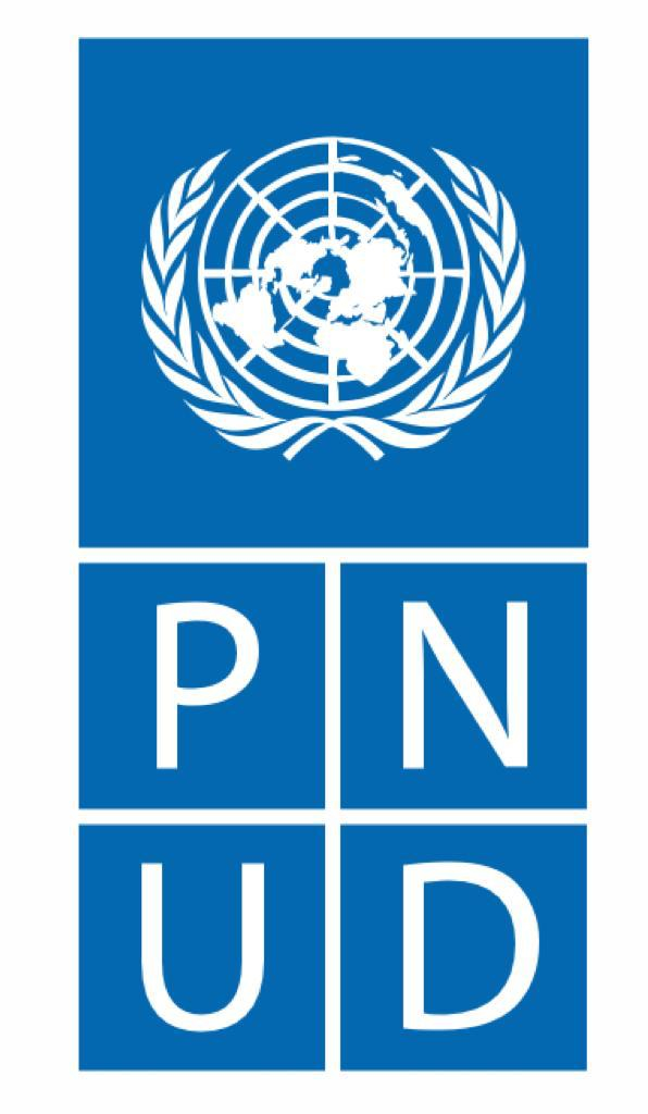 Logo de la empresa Pnud