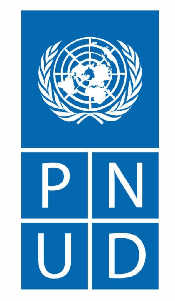 Logo de la empresa Pnud